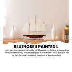 Y095 Bluenose II Painted L 